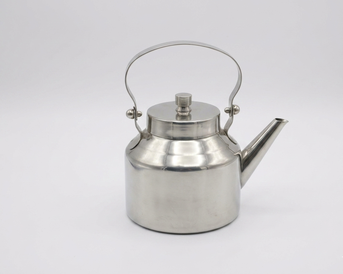 The Axia Stainless Steel Teapot
